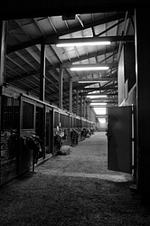 Barn_Black_and_White.jpg