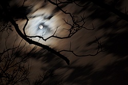 Cloudy_Sky_and_Bright_Moon.jpg