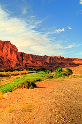 Colorado_River_Canyon.jpg