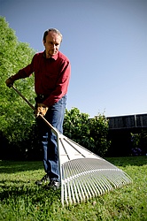 Thomas_Horticulture.jpg