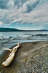 Yellowstone_Lake_Log.jpg